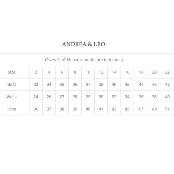 NEW LONG SLEEVELESS EMBROIDERED A-LINE TULLE DRESS WITH ZIPPER BACK AL A1045 - Picture 2 of 9